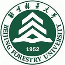 北京林业大学动画艺术学考研辅导班