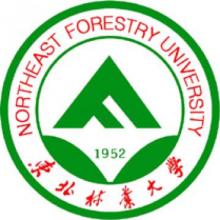 东北林业大学资源利用与植物保护考研辅导班