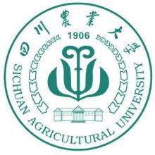 四川农业大学城乡景观规划与设计考研辅导班