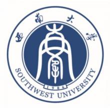 西南大学公共管理考研辅导班