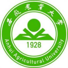 安徽农业大学风景园林考研辅导班 