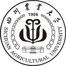 四川农业大学金融学考研辅导班