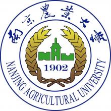 南京农业大学民俗学考研辅导班