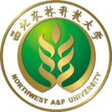 西北农林科技大学茶学考研辅导班