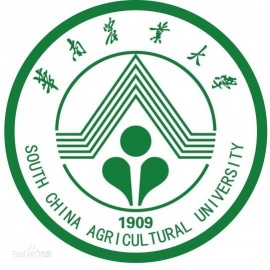 东华大学考研辅导班